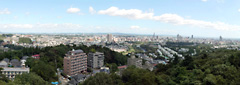 全景