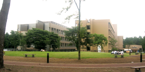 大学 薬学部 東北