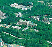 全景