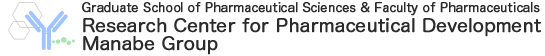 Graduate School of Pharmaceutical Sciences & Faculty of Pharmaceuticals　Research Center for Pharmaceutical Development
Manabe Group