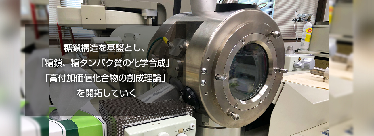  糖鎖構造を基盤とし、「糖鎖、糖タンパク質の化学合成」「高付加価値化合物の創成理論」を開拓していく