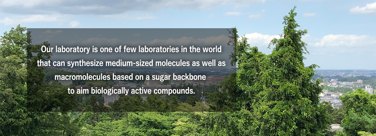 Very unique in the world
From medium molecules based on the sugar skeleton
Laboratory capable of synthesizing compounds 
with large molecular weight