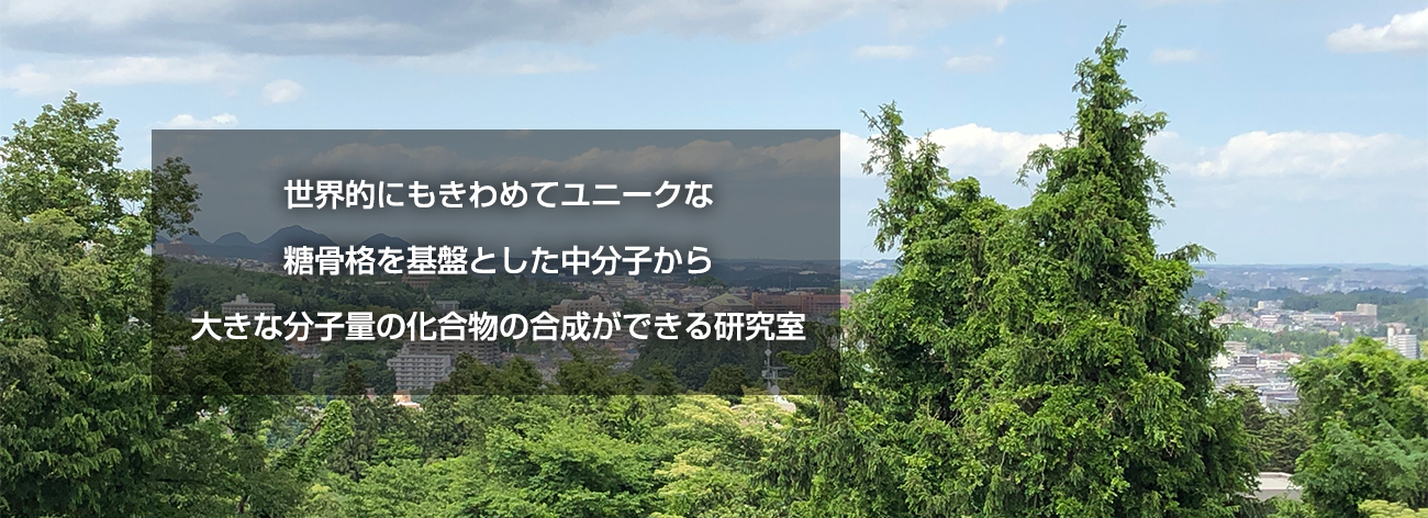世界的にもきわめてユニークな、糖骨格を基盤とした中分子から大きな分子量の化合物の合成ができる研究室