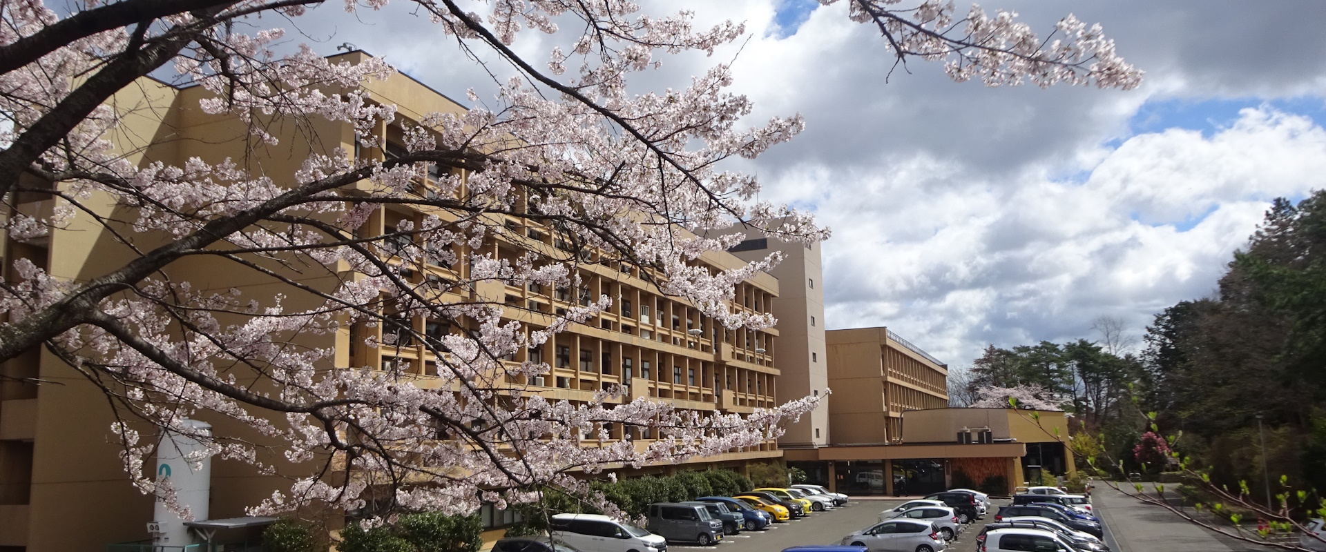 東北大学大学院薬学研究科・薬学部 – Graduate School of 東北大学大学院薬学研究科・薬学部 – Graduate School of