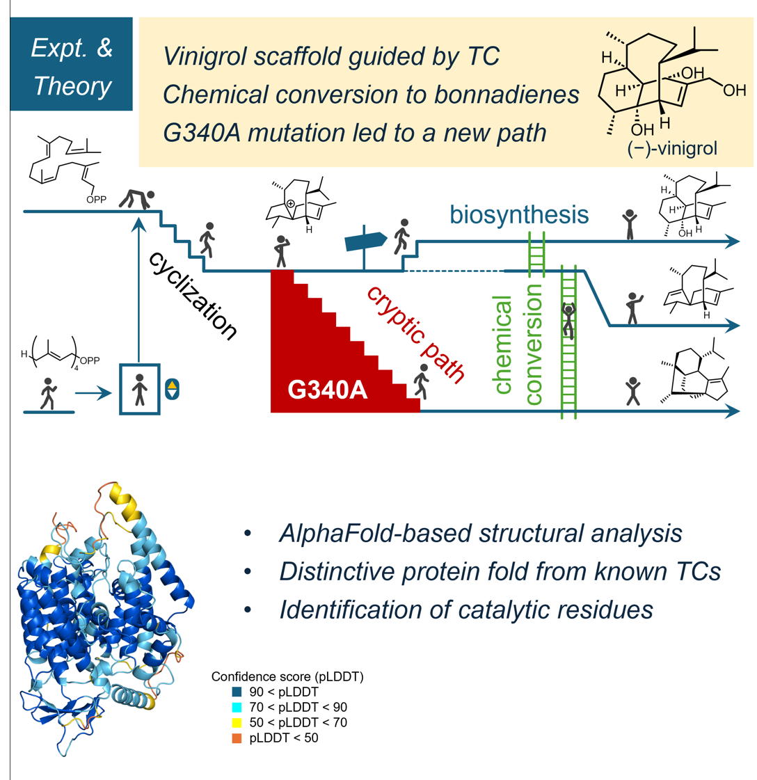 Vinigrolの論文がついに掲載。