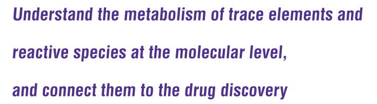 Understand the metabolism of trace elements and reactive species at the molecular level and  connect them to the drug discovery