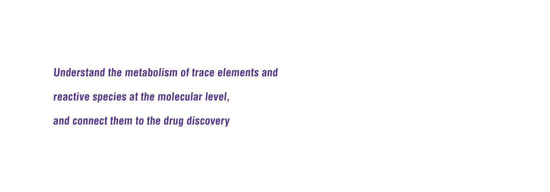 Understand the metabolism of trace elements and reactive species at the molecular level, and connect them to the drug discovery