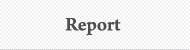 Report