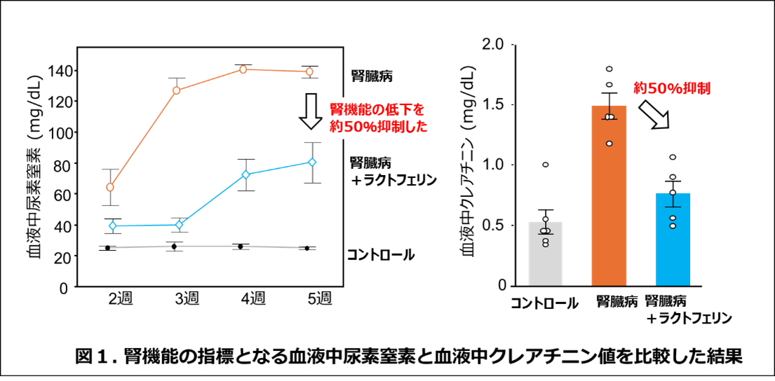 2025.08.05