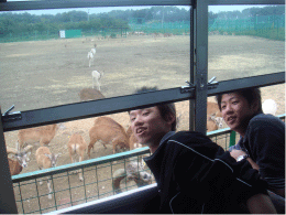 H20講座旅行17.gif