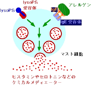 Image 104.gif